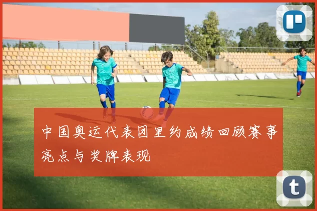 中国奥运代表团里约成绩回顾赛事亮点与奖牌表现