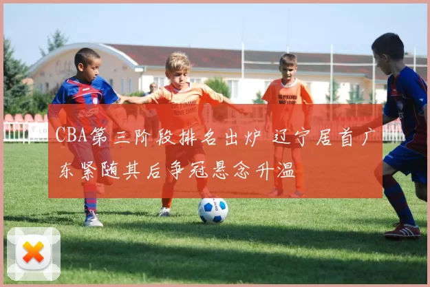 CBA第三阶段排名出炉 辽宁居首广东紧随其后争冠悬念升温