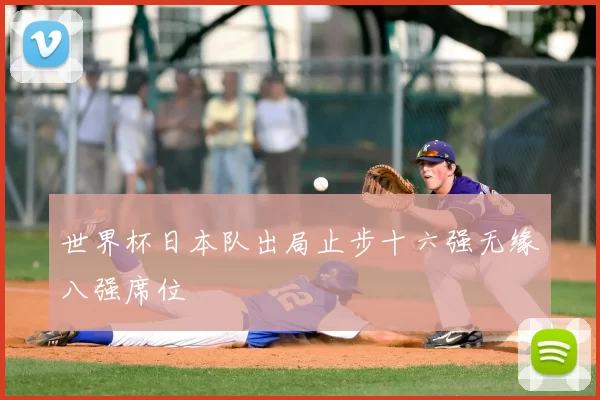 世界杯日本队出局止步十六强无缘八强席位